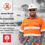 James Brown WHS Senior Consultant Available Mid January
