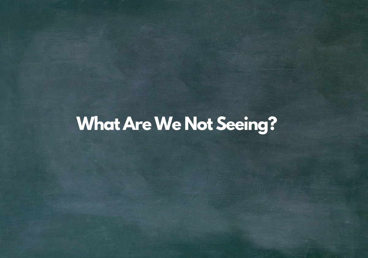 Graphic displaying the question "What Are We Not Seeing?" on a textured dark background.